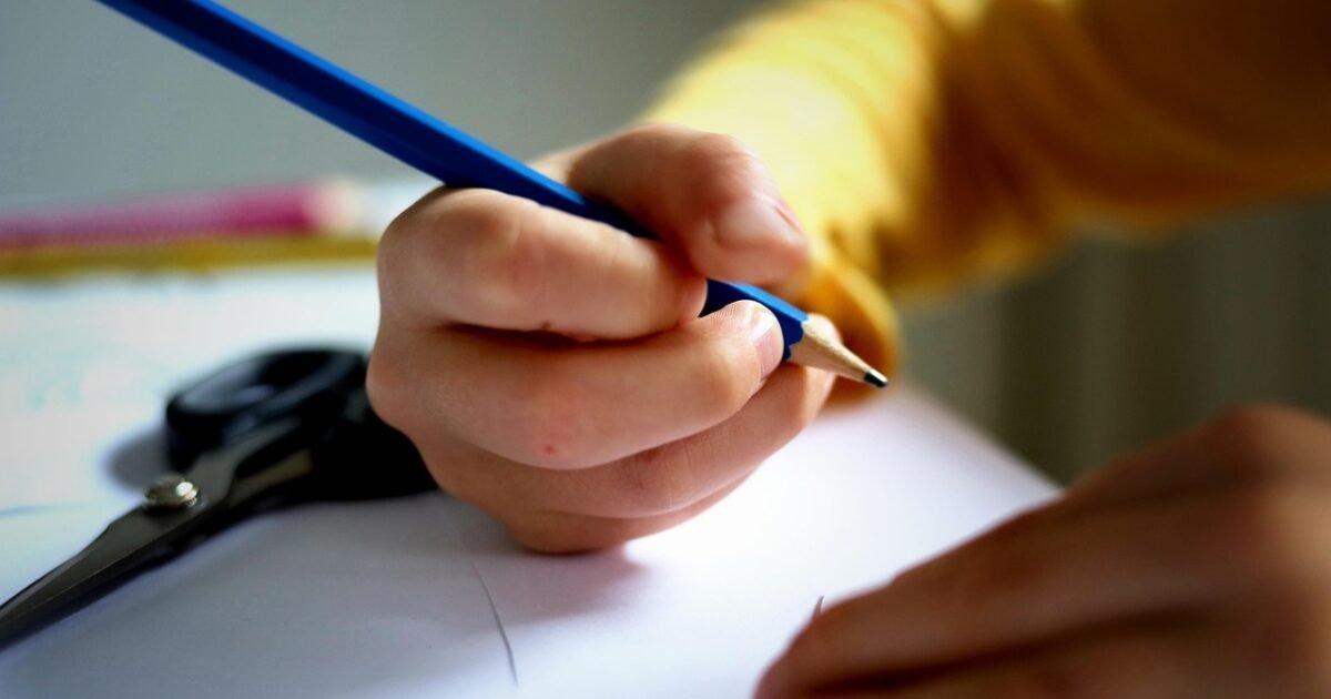 write, child, school, learn, pencil, draw, study, school, school, school, school, school