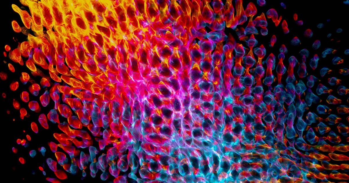 Dynamic abstract design featuring vibrant light patterns in yellow, pink, and blue hues.