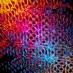 Dynamic abstract design featuring vibrant light patterns in yellow, pink, and blue hues.