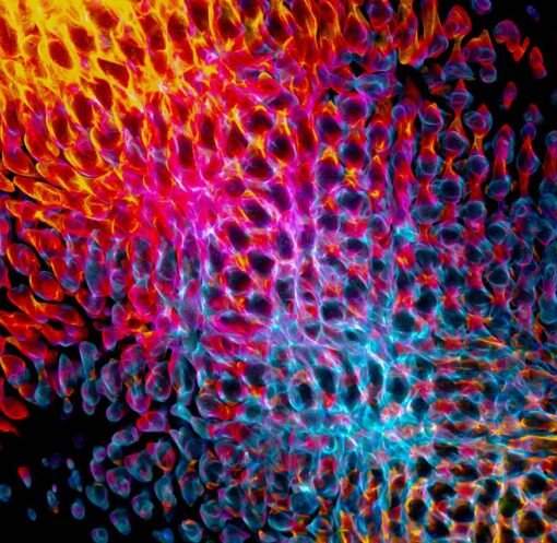 Dynamic abstract design featuring vibrant light patterns in yellow, pink, and blue hues.