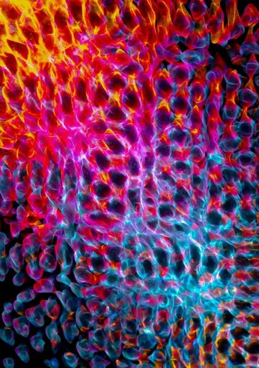 Dynamic abstract design featuring vibrant light patterns in yellow, pink, and blue hues.