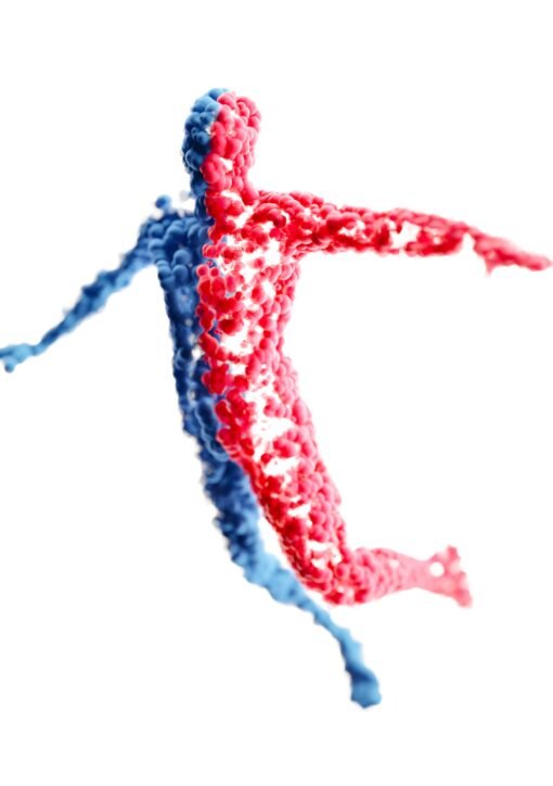 Abstract 3D figure composed of red and blue elements, symbolizing balance and unity.