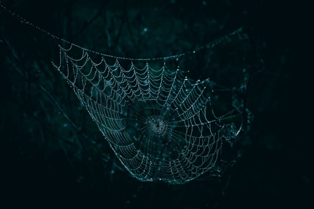 A close-up of a spider web glistening with dew droplets against a dark, moody background.