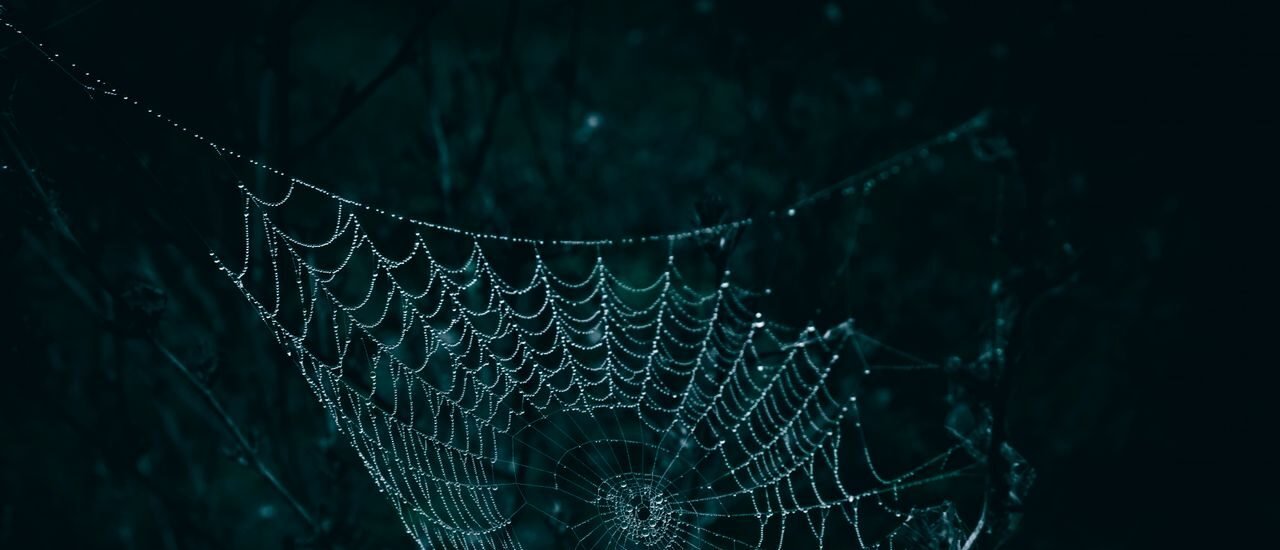 A close-up of a spider web glistening with dew droplets against a dark, moody background.