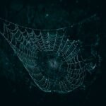 A close-up of a spider web glistening with dew droplets against a dark, moody background.