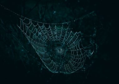 A close-up of a spider web glistening with dew droplets against a dark, moody background.