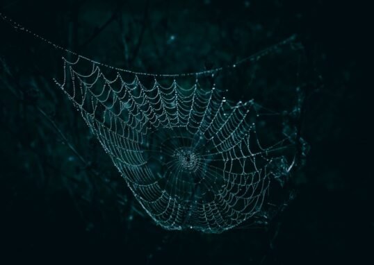 A close-up of a spider web glistening with dew droplets against a dark, moody background.