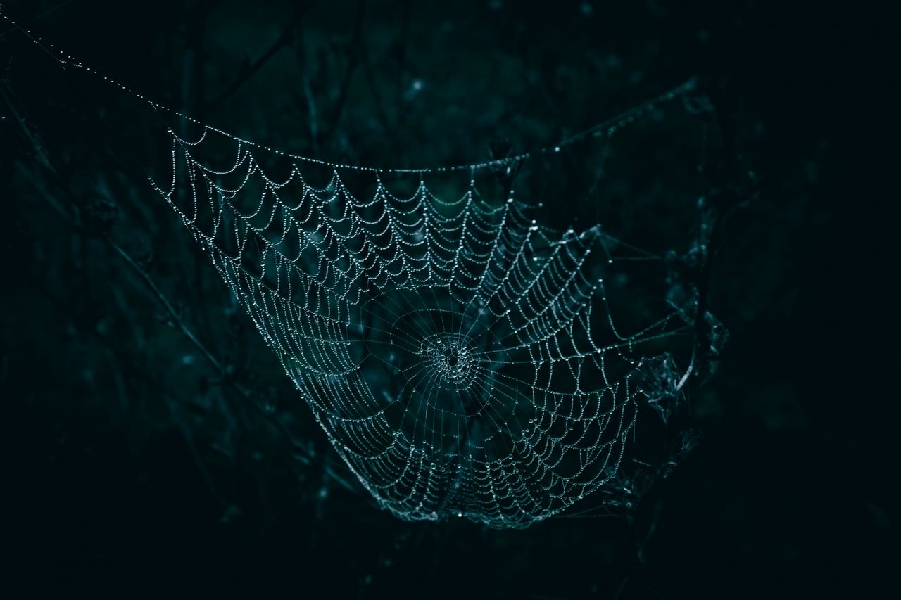 A close-up of a spider web glistening with dew droplets against a dark, moody background.