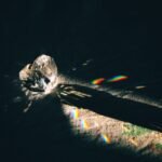 A diamond-shaped crystal casting rainbow reflections on a surface with dramatic lighting.