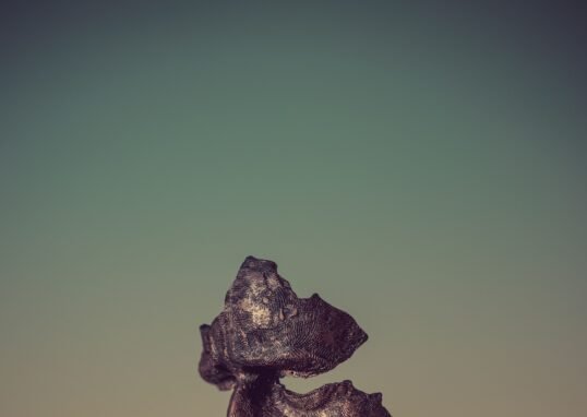 Bronze sculpture of a face missing parts and a finger to its lips, suggesting silence and mystery.
