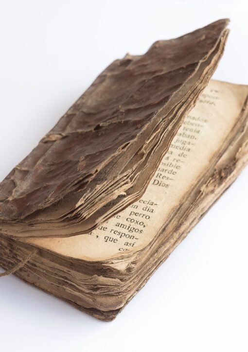 A close-up of an old, weathered book with tattered pages, showcasing its antique charm.