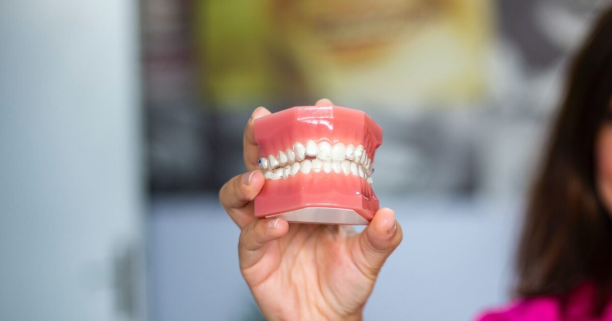 A dentist's hand holding a dental teeth model indoors. Ideal for dental care concepts.
