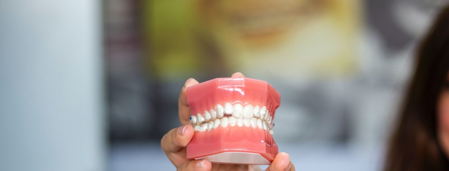 A dentist's hand holding a dental teeth model indoors. Ideal for dental care concepts.