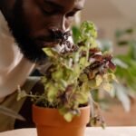 A close-up of a bearded man with eyes closed, enjoying the scent of a potted plant indoors.