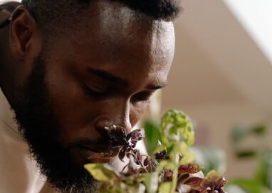 A close-up of a bearded man with eyes closed, enjoying the scent of a potted plant indoors.