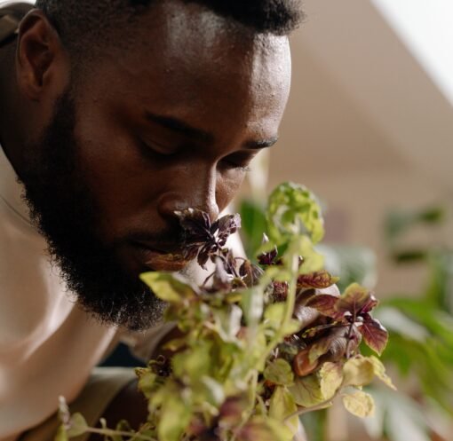 A close-up of a bearded man with eyes closed, enjoying the scent of a potted plant indoors.