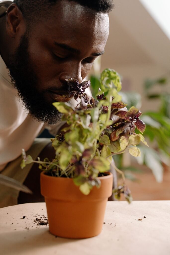 A close-up of a bearded man with eyes closed, enjoying the scent of a potted plant indoors.