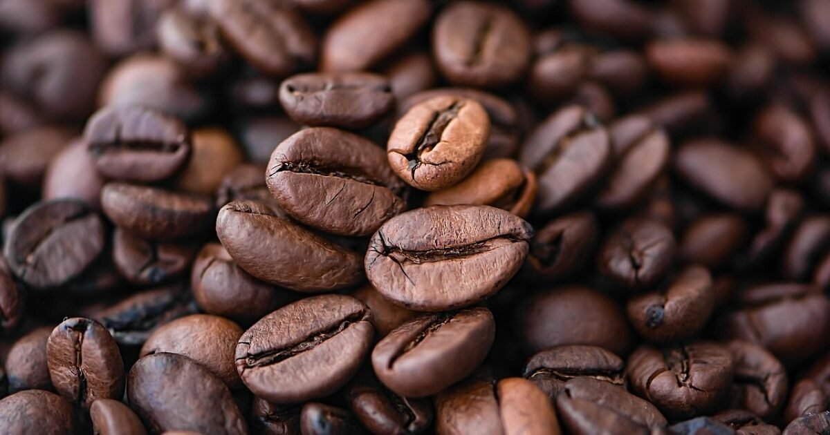 coffee, beans, seed, caffeine, cafe, aroma, roasted, brown, aromatic, food photography, coffee seeds, roasted coffee, product, arabica, lavazza, coffee beans, in the store, cafe shop, black coffee, taste of coffee, brewed coffee, roasted coffee beans, bitter taste, fried, gourmet, coffee, coffee, coffee, coffee, coffee, cafe, coffee beans