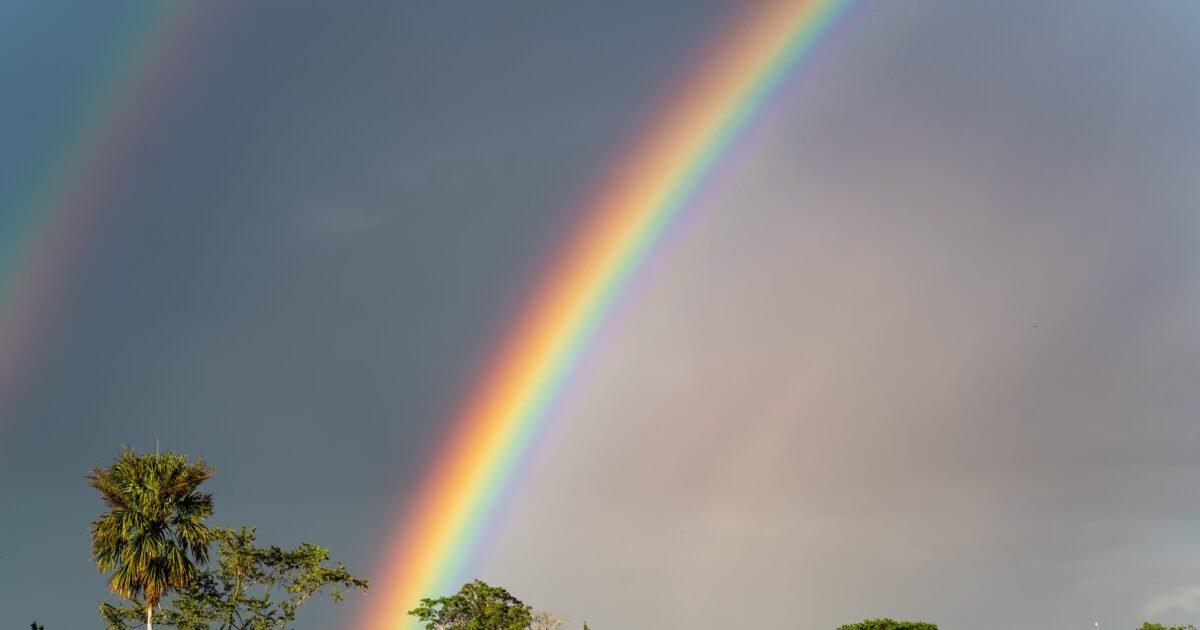 Stunning countryside scene with a vibrant rainbow over lush fields and trees, creating a picturesque rural view.