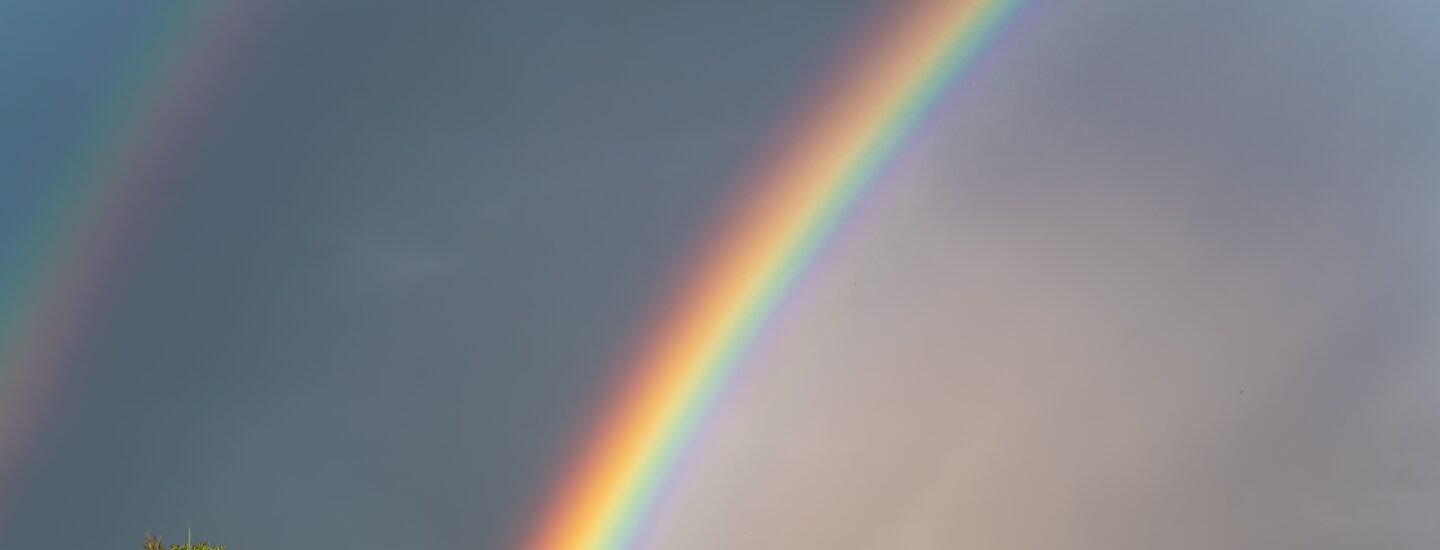Stunning countryside scene with a vibrant rainbow over lush fields and trees, creating a picturesque rural view.