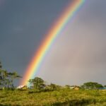 Stunning countryside scene with a vibrant rainbow over lush fields and trees, creating a picturesque rural view.