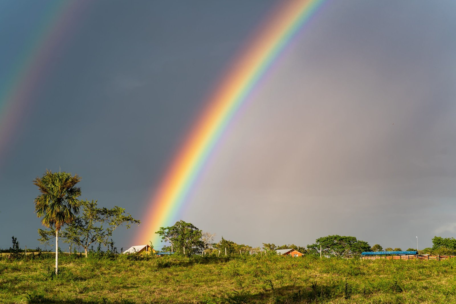 Stunning countryside scene with a vibrant rainbow over lush fields and trees, creating a picturesque rural view.